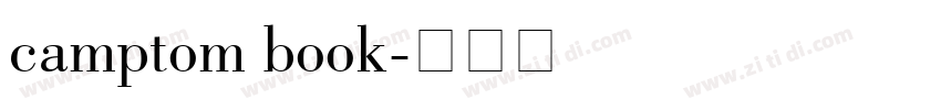 camptom book字体转换